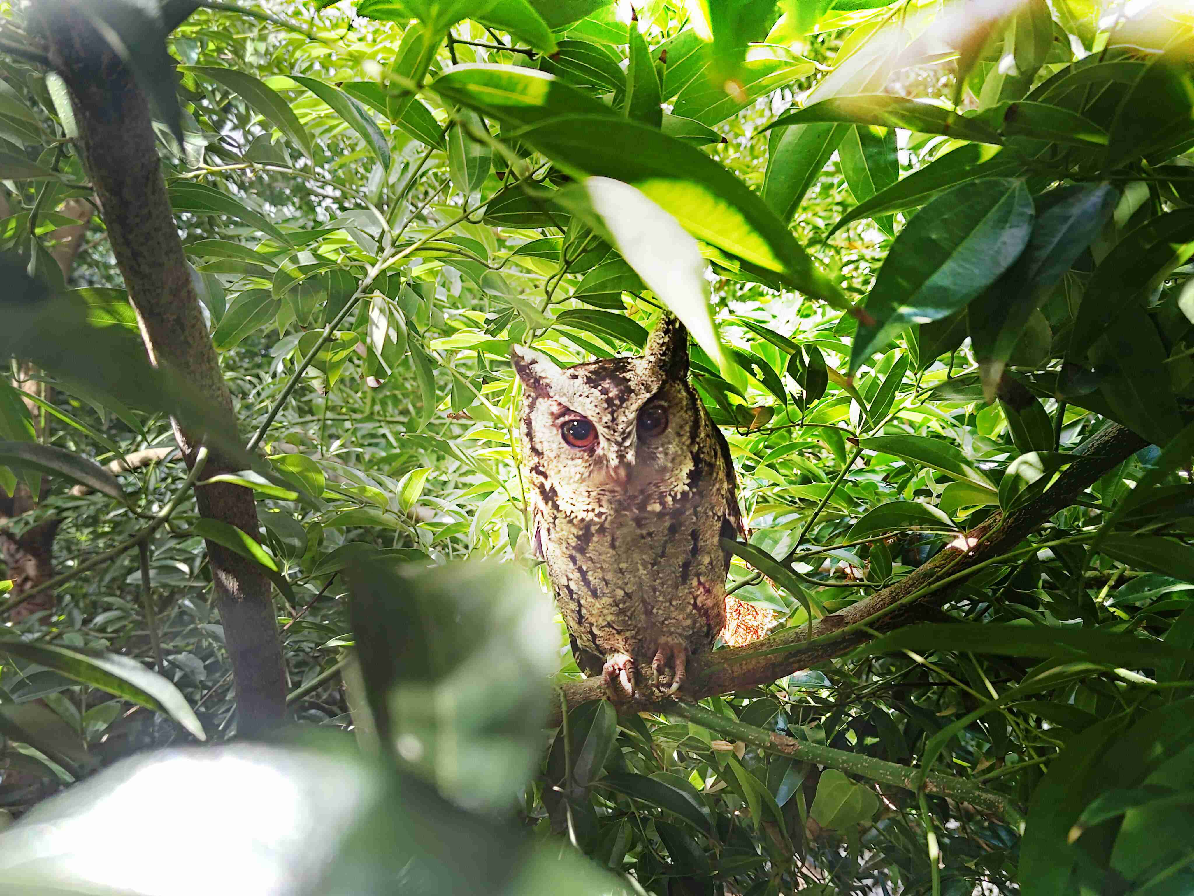 z6尊龙致力提倡净零绿生活，，16年以来在全球各厂区植树逾百万棵，，，，造就各厂区树木蔚然成林，，，犹如森林工厂，，成为许多生物的栖息地